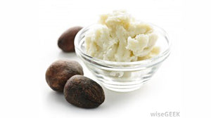 What is Shea Butter & Its’ Benefits?